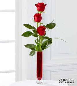 3 roses in a vase